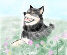 愛犬、愛猫、小動物まで可愛く描きます まるでそこにいるみたいに温かく、可愛い家族のイラストを！ イメージ2