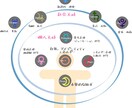 リピーター様限定★テーマを絞ったご相談お受けします 星のカルテ作成された方へ★今のお悩みに合わせてアレンジします イメージ1