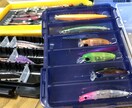 ルアー釣りの「いろは」お伝えします 【最長15日】実体験を基にお答えします！ イメージ2