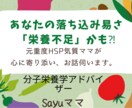 その落ち込み易さ、栄養&マインドのアドバイスします 分子整合栄養医学とマインドの両面からサポートします イメージ1