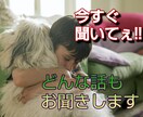 今すぐ話したい‼️すべて私がお聞きします あなたの心に寄り添います。安心、安全の場をご提供致します イメージ1