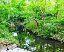 京都の四季の写真提供しています 京都の何気ない風景や四季の風景写真 イメージ9