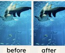 スマホ写真をSNS映えするアートに仕上げます 光と色を引き出すレタッチで、写真を作品に変えます。 イメージ4