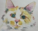 ペットの似顔絵描きます インクやラメ入り絵の具で描きます。犬・猫・鳥・爬虫類etc… イメージ4