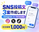 SNS投稿文をAIで3案作成します 用途に合わせて読みやすく伝わる文章をご提案します イメージ1