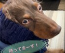 YouTuberや家庭用の動画の編集、いたします 動画を作りたい、編集したいけどお忙しい、苦手なあなたに！ イメージ1
