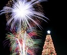 花火の写真を提供します 花火の写真を探しているあなたに!! イメージ2