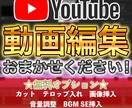 YouTube用動画！編集承ります 企業動画編集者が、思い描くイメージを形にします‼ イメージ1