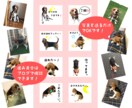 ペットのLINEスタンプを作成します ＆【期間限定】今だけ絵文字８個をおまけします！ イメージ1