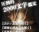 人生を好転させる行動戦略を導き出します 「なぜ？」に答える論理的鑑定書 イメージ1