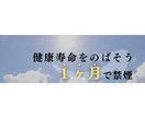 Twitterヘッダー作ります 〜発信活動に不可欠なヘッダーお任せ下さい〜 イメージ3