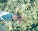 カメラマンがお子さんやご家族の写真を撮ります なんでもご相談にのります！よろしくお願いします。 イメージ6