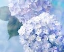 辛い時はいつでも連絡お願いします 私の経験とカウンセラーの勉強での知識でお話させていただきます イメージ3