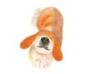 3ポーズ3枚あなたのペットの絵を描きます 動物 リクエスト背景入可能 ペット絵 うさぎ 犬 猫 小動物 イメージ1