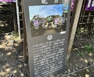 6月鑑定！怪我事故病気に気をつけたい日にち見ます 運気が低下して、怪我事故病気等になりやすい日を鑑定致します イメージ3