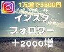 インスタグラムのフォロワー＋2000増やします 【早期納品】インスタフォロワー＋2000〜(30日間保証付) イメージ1