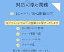 ECサイト・SNSのサポート業務をお受けいたします 更新を頻度を上げて動きのあるページを生み出します！ イメージ2