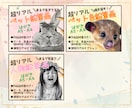 ペット鉛筆画▶︎超リアルな似顔絵お描きします －A6サイズです！サイズアップ・額装付きはオプションから♩ イメージ7