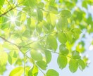 60分チャット悩み・愚痴・相談✨優しく寄り添います 秘密厳守！大丈夫ですか？お話聞きます。一緒に考えましょう☘️ イメージ6