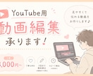 YouTube用の動画編集をします ポートフォリオに掲載させていただきたく当価格での掲載です イメージ1