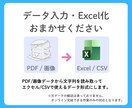 Excel専門データ入力代行。使えるデータにします 画像、PDFの文字をエクセルのデータへ。入力代行します。 イメージ2