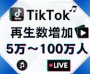 TikTokの動画再生数を増加します TikTok動画宣伝します！＋50000再生回数増加確実！ イメージ1