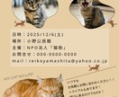 希望をきいてPOSTER・FRYERつくります イメージを伝えてもらうまで何回もブラッシュアップ！ イメージ2