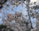 発達特性のある生きづらさを聞きます 漏らしません。あなたの怖い・不安・秘密を傾聴します イメージ1