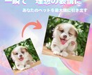 奇跡の一枚にあなたのペットを理想の表情に加工します もう少し笑顔だったら完璧なのに、そんなお悩みはありませんか？ イメージ1