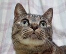 数々のやらかし女が全ての女性を輝かせます 毒親育ち拗らせ女だからこそ、等身大の飾らない会話が魅力 イメージ2