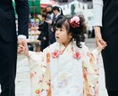 七五三撮影 フォトグラファーが出張撮影します 〜いつだっておもいでびより〜今しかない瞬間を残します イメージ4