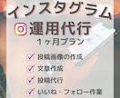 １ヶ月間、インスタ運用いたします アカウントが伸び悩んでいる方お任せください！ イメージ1