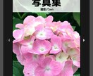Kindle用の書籍データ作ります e-pub・mobiのみ(○ 絵・画像メイン　△文章メイン） イメージ2