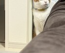 ポジティブ女が話を聞きます ポジティブな気持ちでオチつけます イメージ1