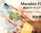 新！FXをはじめたい方、取引が出来るように教えます 【FXをやったことがない方でも、誰でもできます！】 イメージ1