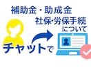 創業直後のわからない？ご相談お受けします -創業期の不安を“社労士・行政書士”がチャットでサポート イメージ1