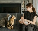 ニューボーンフォトを撮影させていただきます 暖かい雰囲気のはじめての家族写真撮影 イメージ5