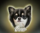愛犬(チワワちゃん専門)の似顔絵描きます 記念日に我が子の絵を作ってみませんか？ イメージ2
