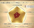 AIに負けない1次情報･SEO検品｜レポート付ます AIに抜かれない情報の穴を設計。Pythonレーダーチャート イメージ2
