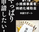 小規模事業者持続化補助金（第１７回）の支援をします ～持続化補助金、第１回から支援しています～ イメージ1
