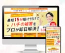 売れる！わかりやすく伝わるヘッダー制作します 反応が取れるデザインを制作します イメージ3