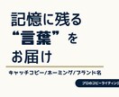 プロが魅せるキャッチ・ネーミングをご提案します 消費者の心を動かす言葉をプロが設計 イメージ1