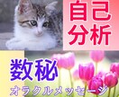数秘＆オラクル！自分らしく生きたいあなたに届けます 知ってますか自分のこと？本当はもっと生きやすくなれるんです♡ イメージ1