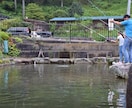 超簡単‼家庭にあるもので、魚釣りのエサ作り教えます 所要時間 約3分‼ 魚釣りのエサ作り！ イメージ1