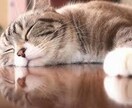 1分からでもOK！貴方からのお電話待ってます 大学生の僕がなんでもお話し聞きます。 イメージ9