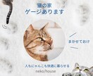 Instagramの投稿画像製作お手伝いいたします 女性目線でリーズナブル♪にタップしたくなる画像を製作します。 イメージ4