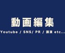 現役エディターがクオリティの高い動画編集いたします 必ず「伝わる」ものを届けます！ イメージ1