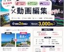 TikTok・YouTube動画を編集します 旅行動画・ゲーム動画を見やすく魅力的に編集します！ イメージ1