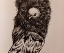 スケッチした絵を販売します 品種改良で生まれたジャコビン鳩。荒地の魔女の様!! イメージ1