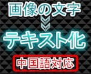 中国語可能　画像の文字をテキストデータ化します 画像データからWordやメモ帳に文字起こしします イメージ1